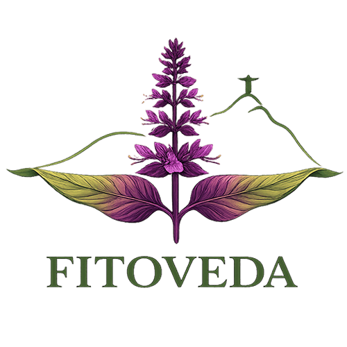 Logo Fitoveda
